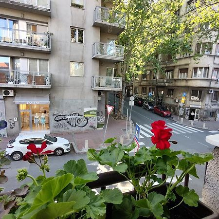 Bgholik Studio Apartment Beograd Eksteriør bilde