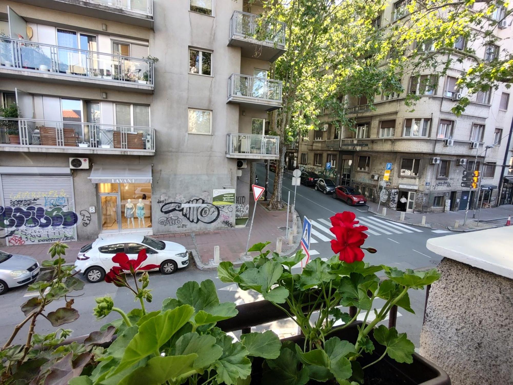 Bgholik Studio Apartment Beograd Eksteriør bilde
